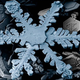 Illustration for article titled Take a look at some gorgeous snowflakes, and find out the reason theyre six-sided